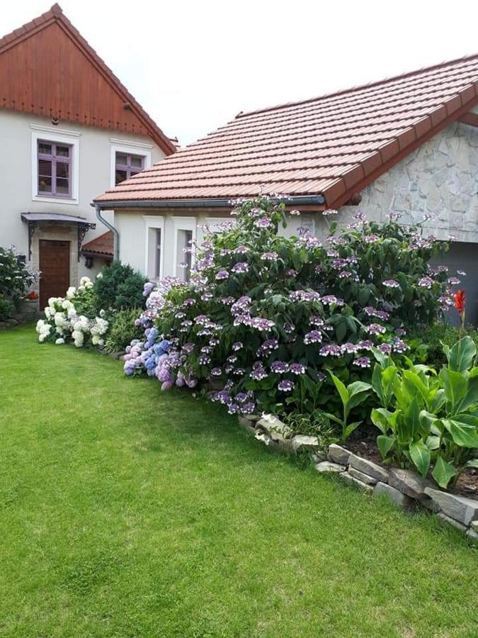 Hortensjowe Wzgorze Myślenice Exteriör bild